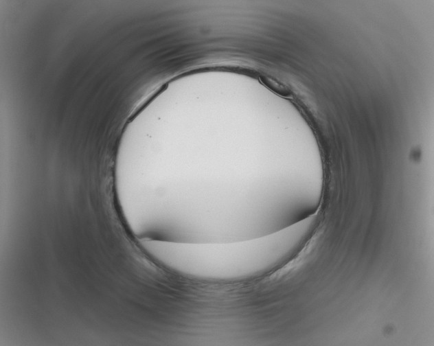 X0000116831369201001081429