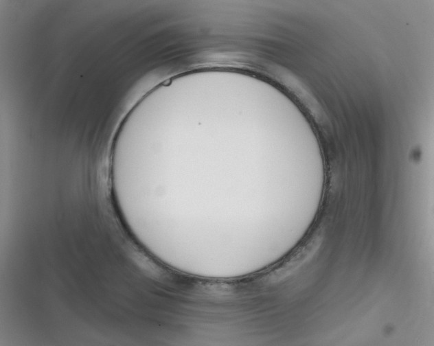 X0000116831370201001081429