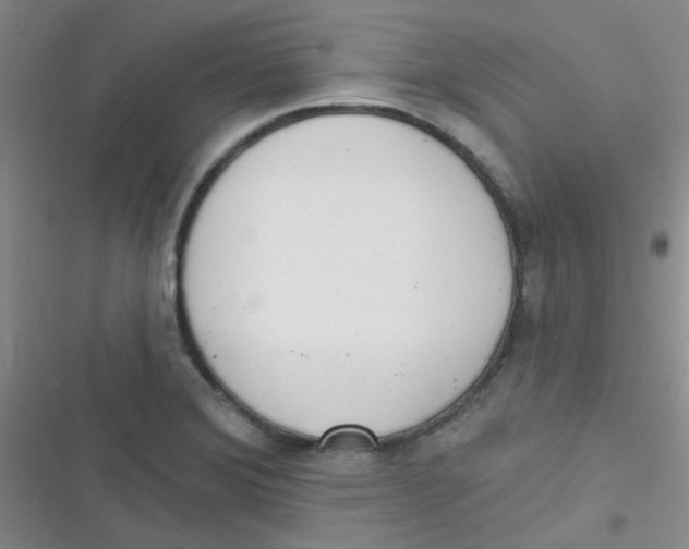 X0000116831372201001081429