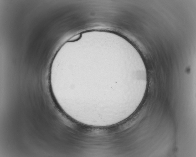 X0000116831375201001081429