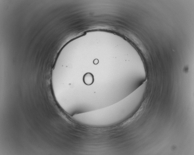 X0000116831377201001081429