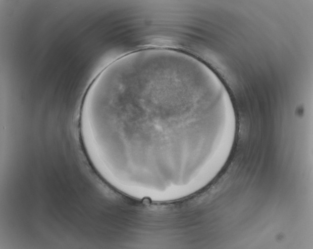 X0000116831378201001081429
