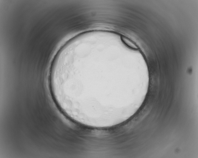 X0000116831379201001081429
