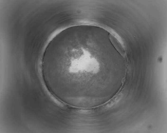 X0000116831381201001081429