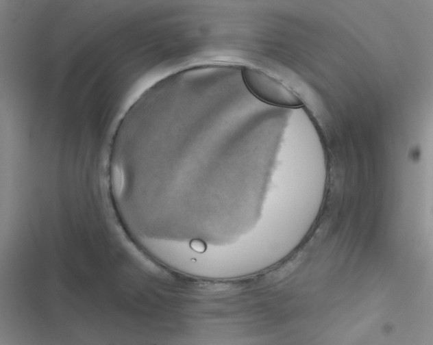 X0000116831382201001081429