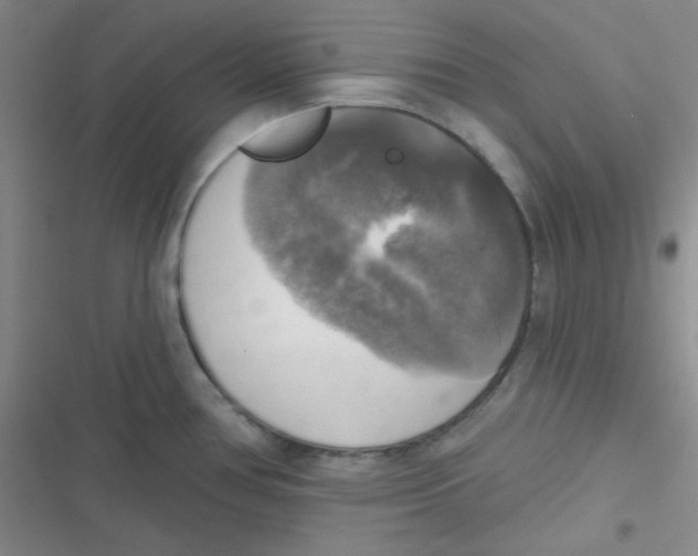X0000116831386201001081428