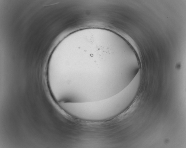 X0000116831389201001081428
