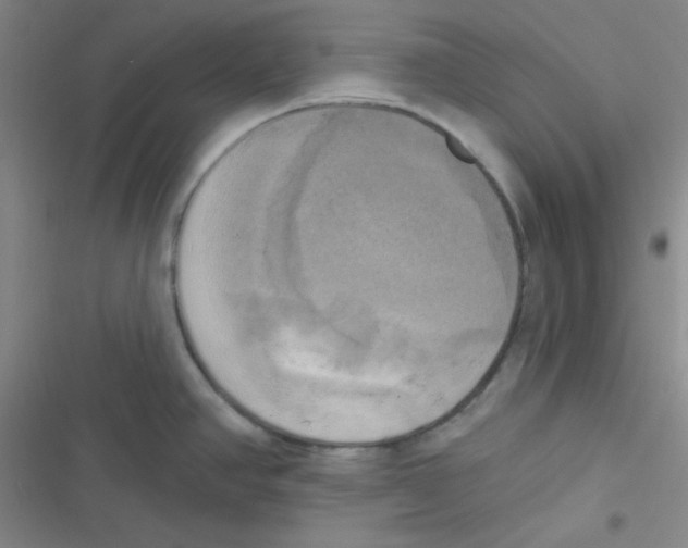 X0000116831390201001081428