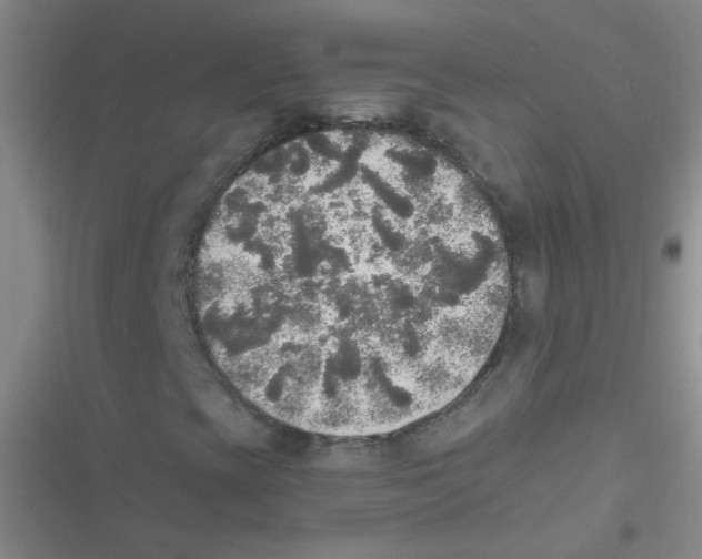 X0000116831393201001081428