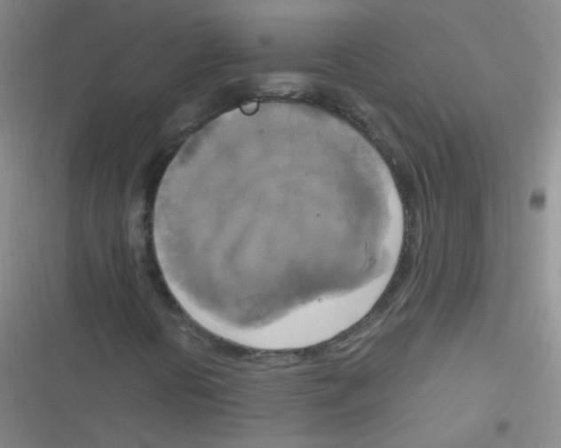 X0000116831394201001081428