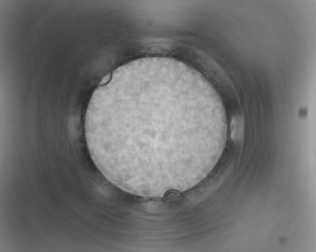 X0000116831395201001081428