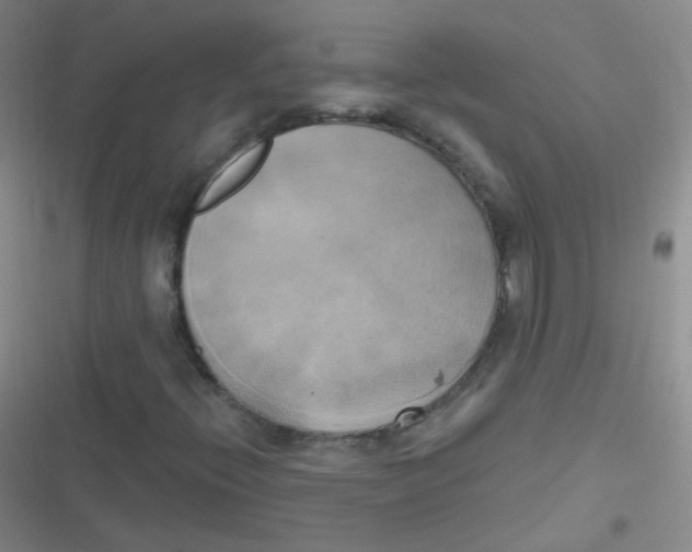 X0000116831396201001081428