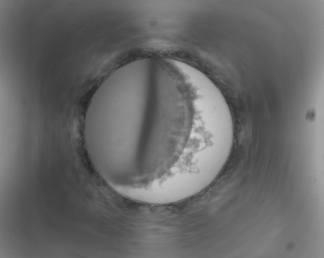 X0000116831397201001081428