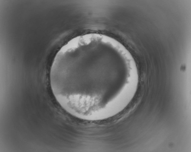 X0000116831398201001081428