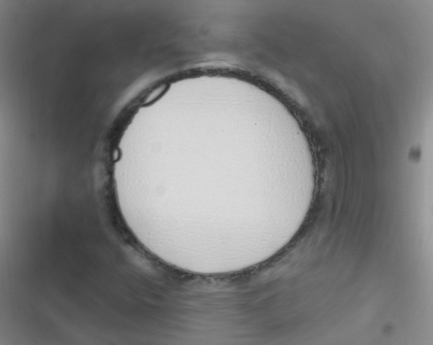 X0000116831400201001081428