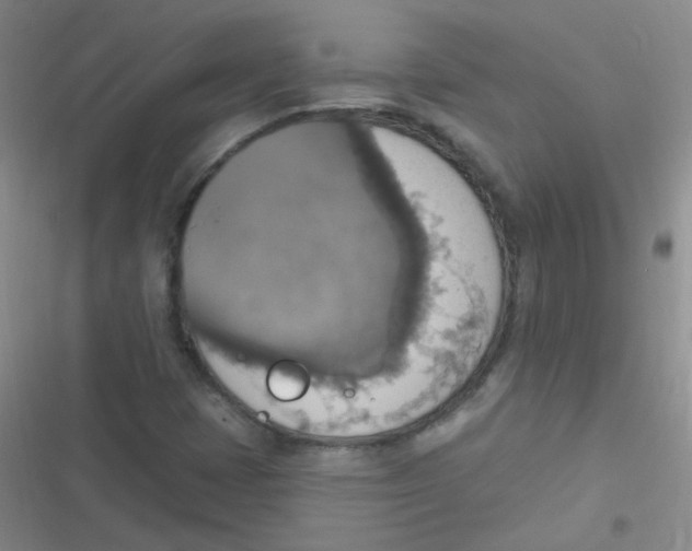 X0000116831401201001081428