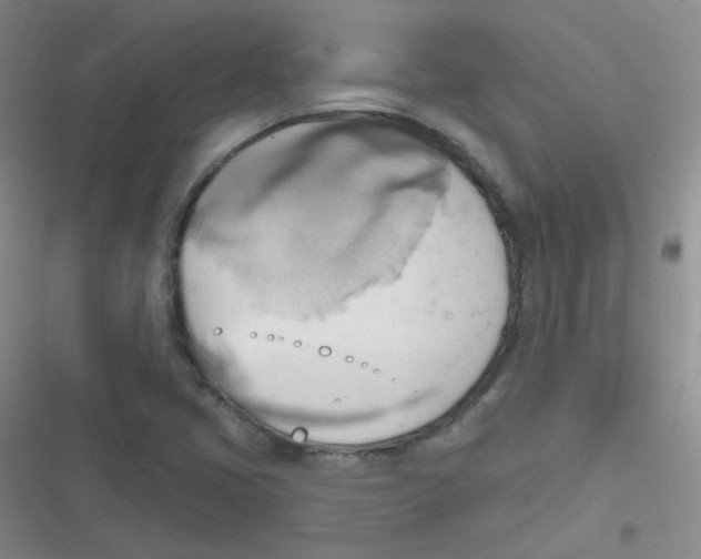 X0000116831405201001081428