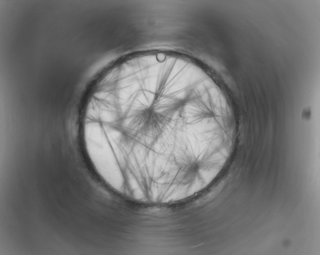 X0000116831406201001081428
