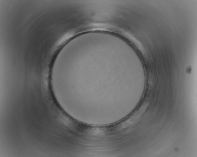 X0000116831411201001081428