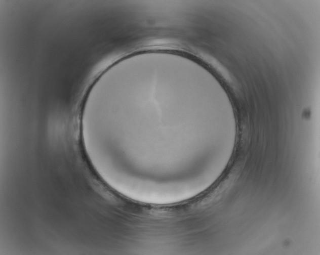 X0000116831413201001081428