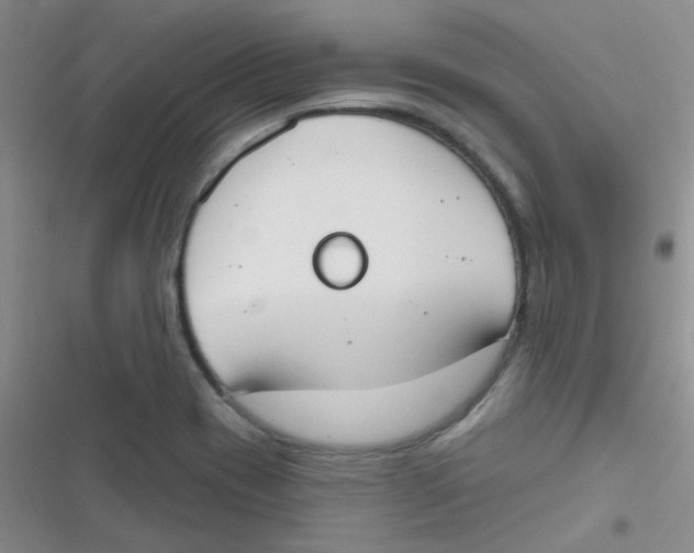X0000116831417201001081428