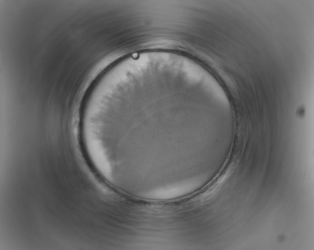 X0000116831418201001081428