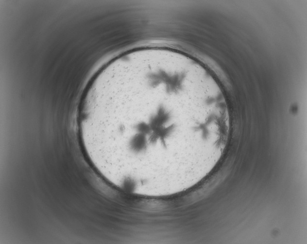 X0000116831420201001081428