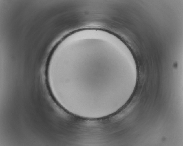X0000116831422201001081428
