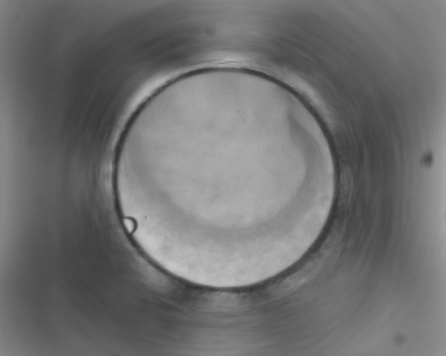 X0000116831424201001081428