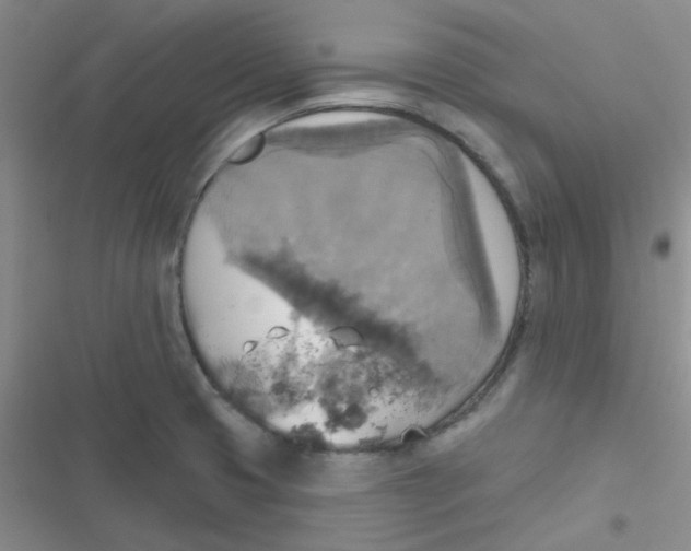 X0000116831425201001081428