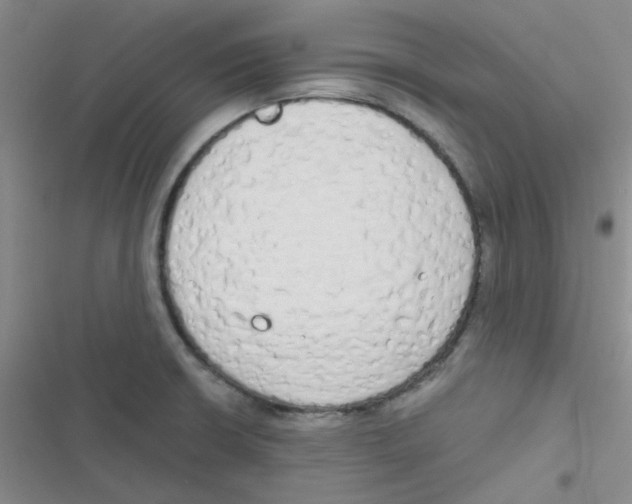 X0000116831426201001081428
