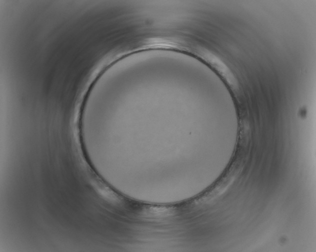 X0000116831427201001081428