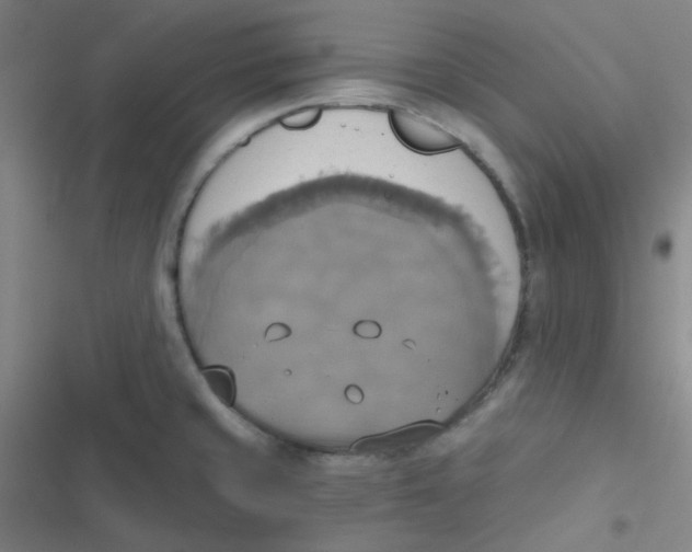 X0000116831429201001081428