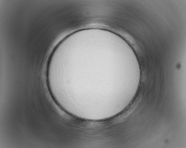 X0000116831430201001081428