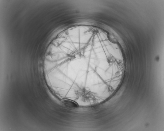 X0000116831433201001081428
