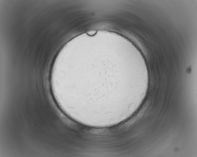 X0000116831434201001081428