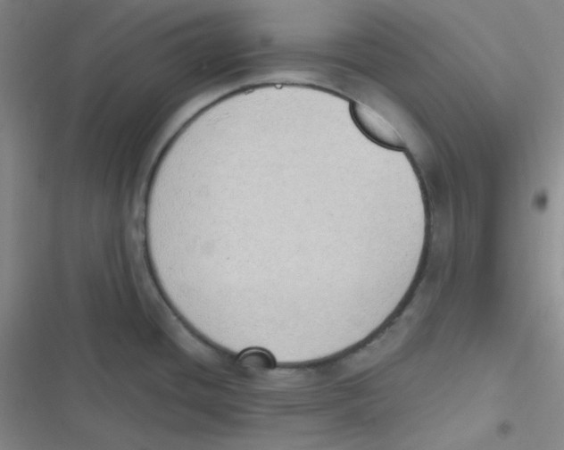 X0000116831436201001081428