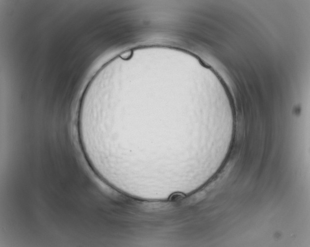 X0000116831437201001081428