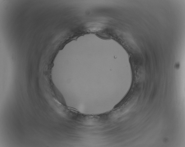 X0000116831441201001081428