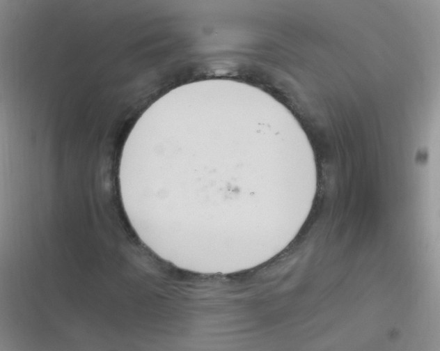 X0000116831442201001081428