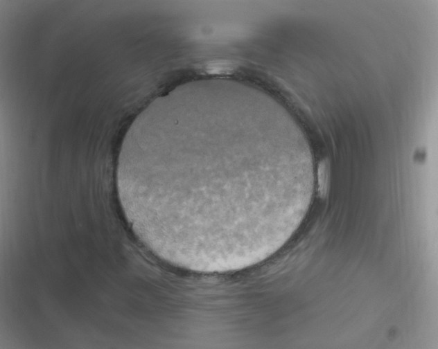 X0000116831443201001081428