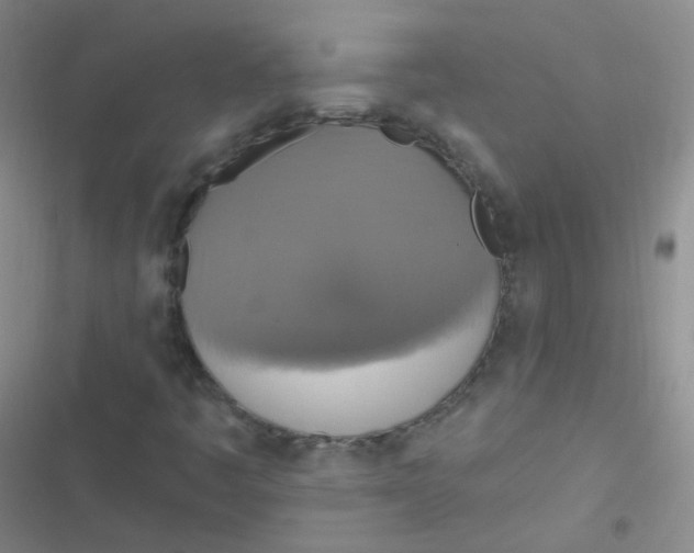 X0000116831445201001081428