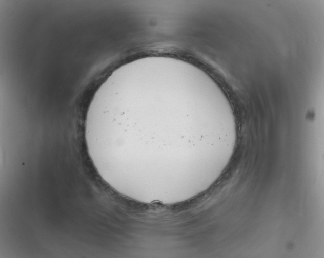 X0000116831447201001081428