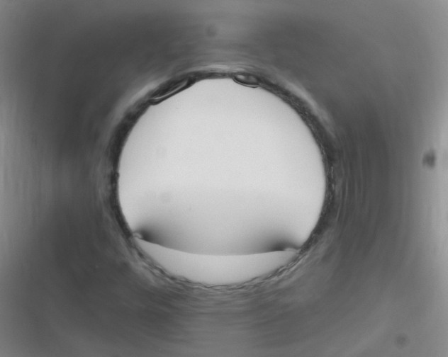 X0000116831448201001081428