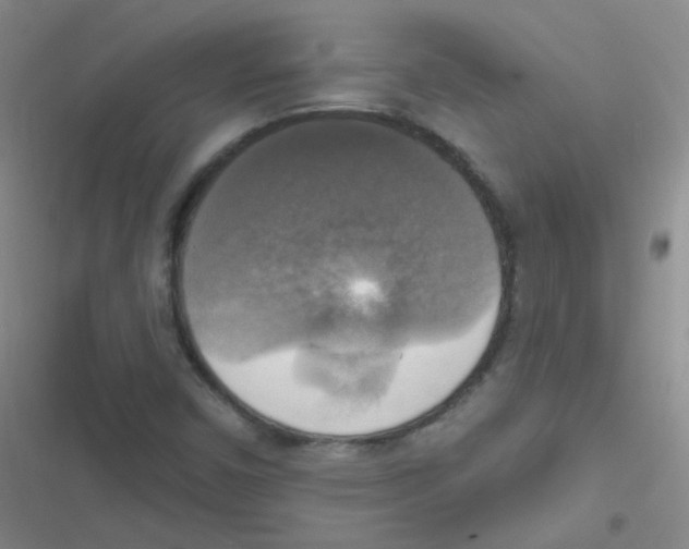 X0000116831450201001081428