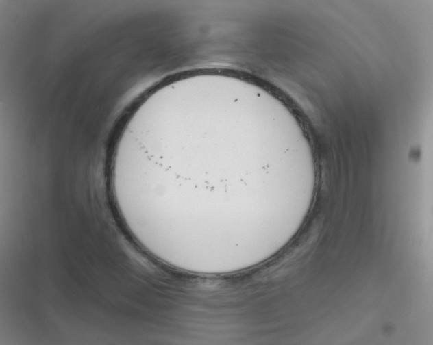 X0000116831452201001081428