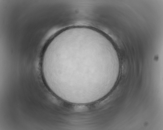 X0000116831454201001081428