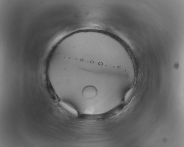 X0000116831455201001081428