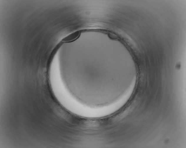 X0000116831457201001081428