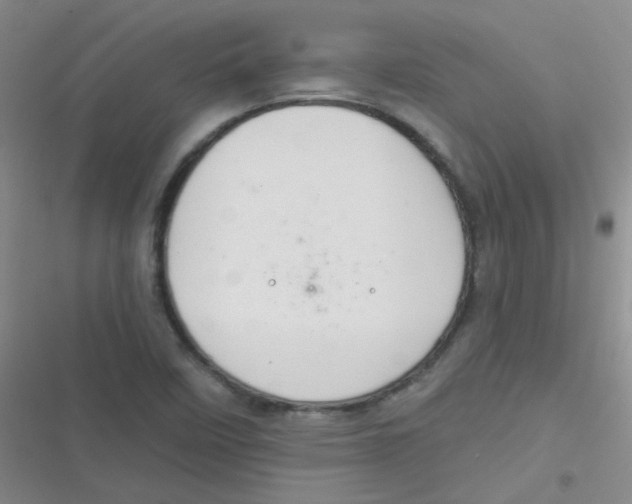 X0000116831458201001081427